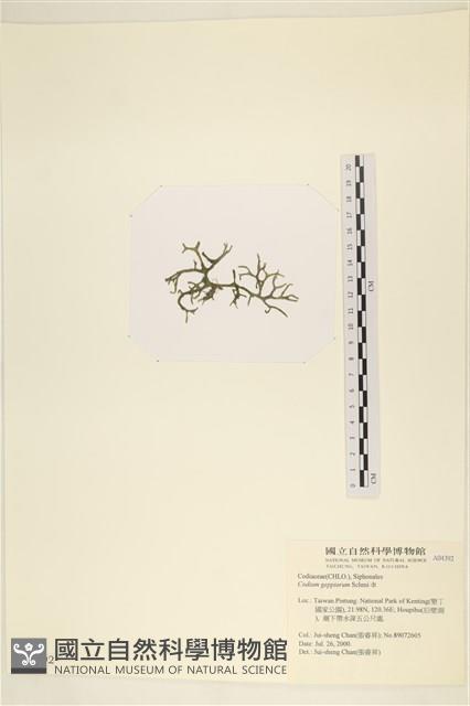 登錄號:A00004392藏品圖，第3張