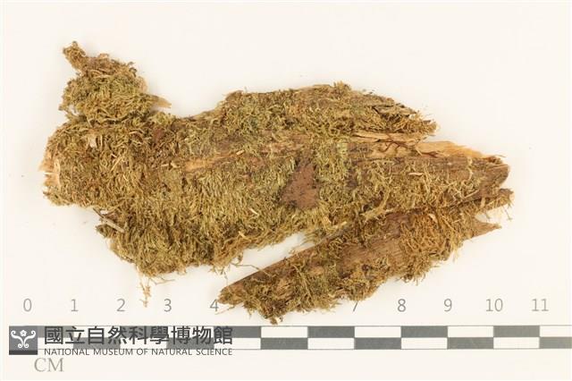 登錄號:B00010792藏品圖，第1張