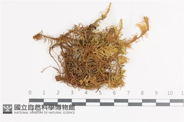 登錄號:B00018642藏品圖，第1張