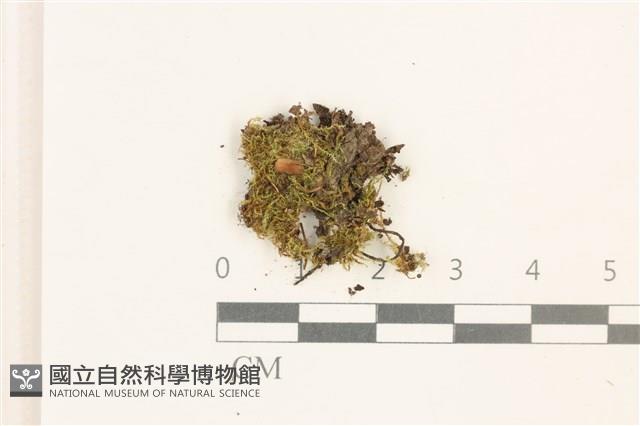 Accession Number:B00009642 Collection Image, Figure 1, Total 2 Figures