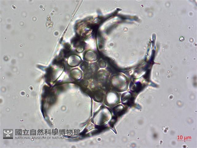 館號:A00004642藏品圖，第5張