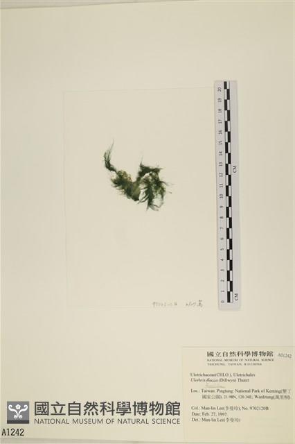 登錄號:A00001242藏品圖，第3張