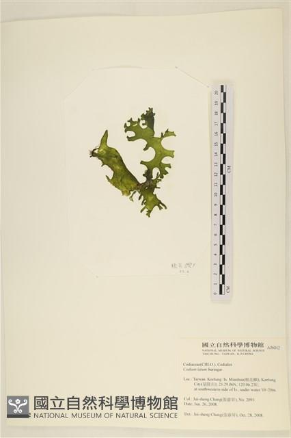 登錄號:A00006042藏品圖，第3張