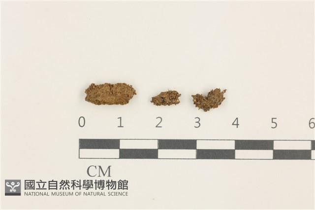 登錄號:B00009542藏品圖，第1張