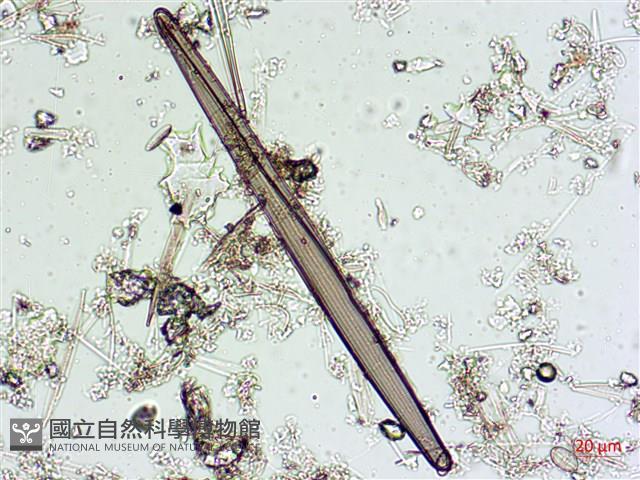 登錄號:A00004542藏品圖，第3張