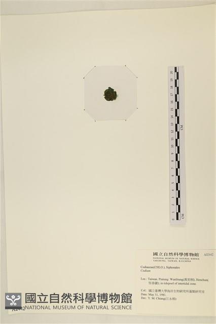 登錄號:A00002442藏品圖，第3張