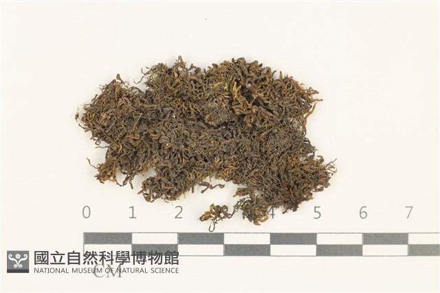 登錄號:B00014442藏品圖，第1張