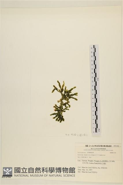 登錄號:A00001342藏品圖，第3張