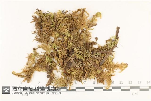 登錄號:B00012662藏品圖，第1張