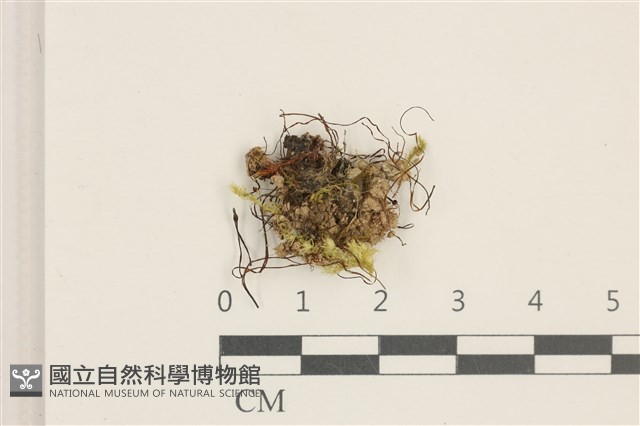 登錄號:B00002662藏品圖，第1張