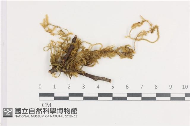 登錄號:B00004662藏品圖，第1張