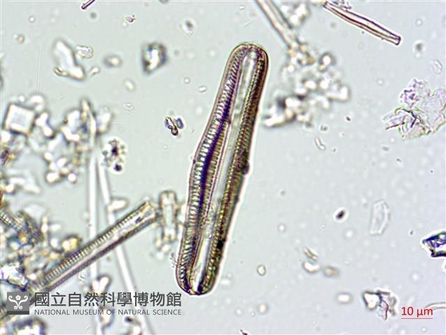 登錄號:A00004662藏品圖，第3張