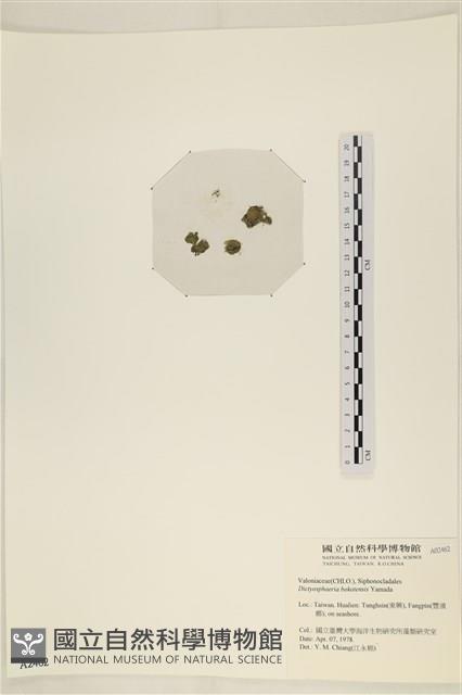 登錄號:A00002462藏品圖，第3張