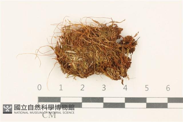 登錄號:B00014462藏品圖，第1張