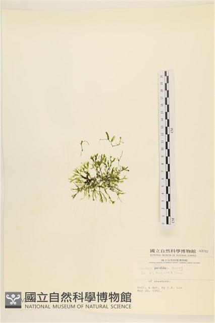 登錄號:A00000762藏品圖，第1張