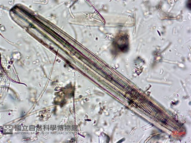 登錄號:A00004602藏品圖，第4張