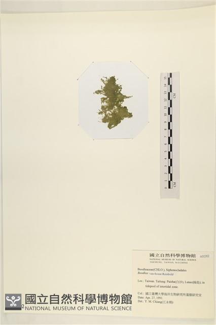 登錄號:A00002202藏品圖，第3張