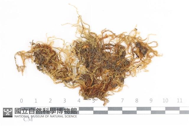 登錄號:B00009002藏品圖，第1張