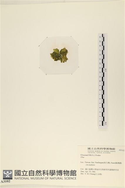 登錄號:A00003102藏品圖，第3張