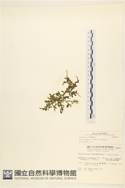 登錄號:A00000502藏品圖，第3張