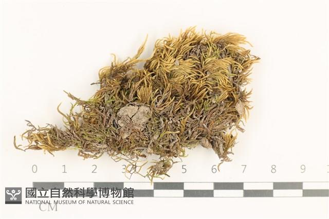 登錄號:B00012402藏品圖，第1張