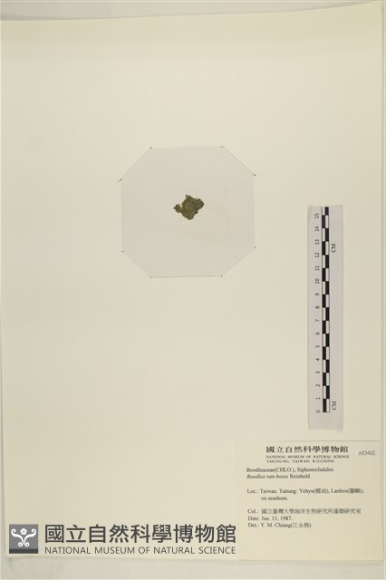 登錄號:A00003402藏品圖，第3張