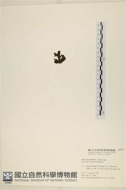登錄號:A00005902藏品圖，第3張