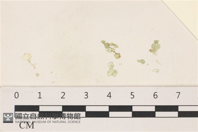登錄號:A00006702藏品圖，第1張