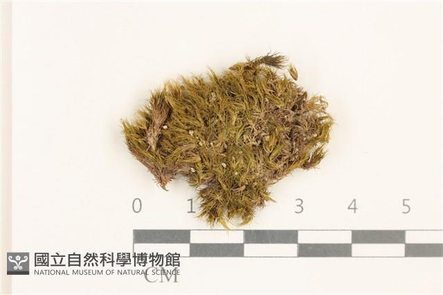 登錄號:B00021702藏品圖，第1張