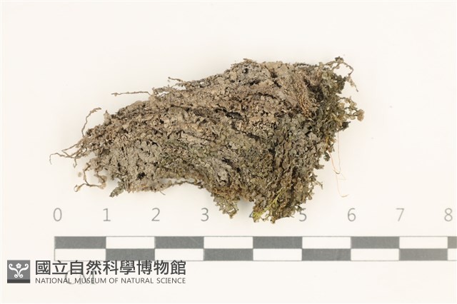 登錄號:B00010682藏品圖，第1張