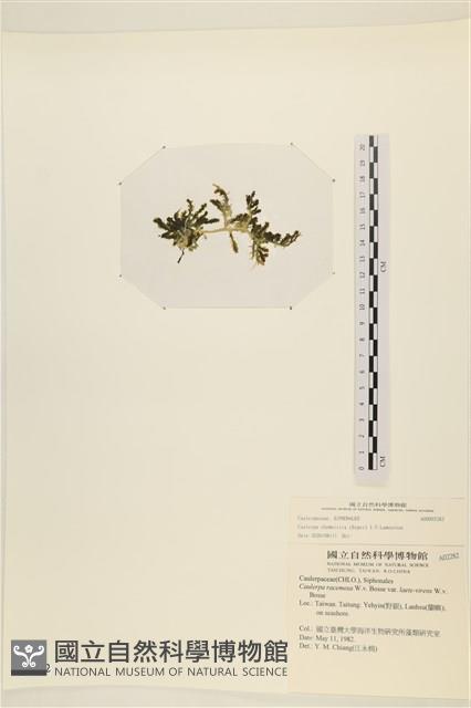 登錄號:A00002282藏品圖，第3張