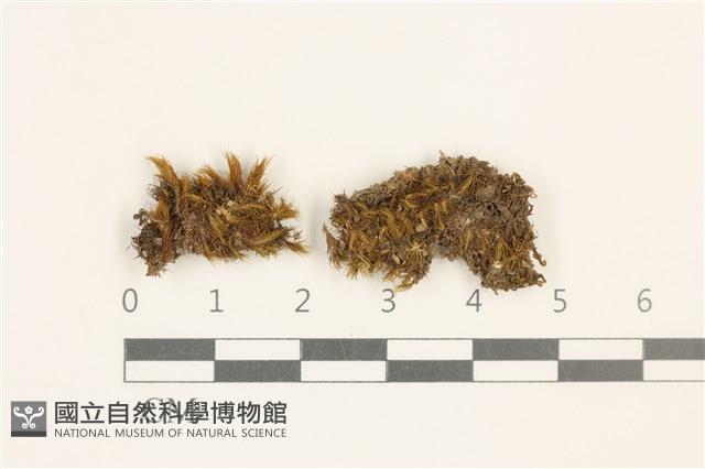 Accession Number:B00009282 Collection Image, Figure 1, Total 2 Figures