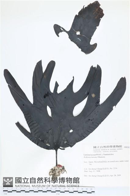 登錄號:A00006282藏品圖，第1張