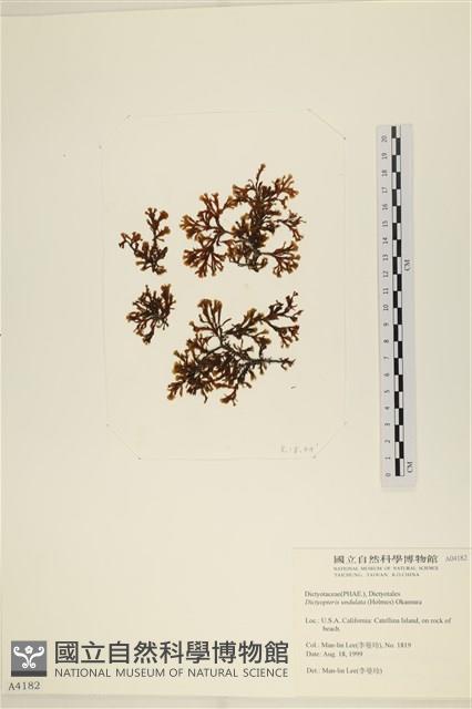 登錄號:A00004182藏品圖，第1張