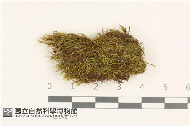 登錄號:B00015582藏品圖，第1張