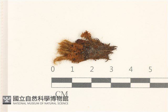 登錄號:B00004482藏品圖，第1張