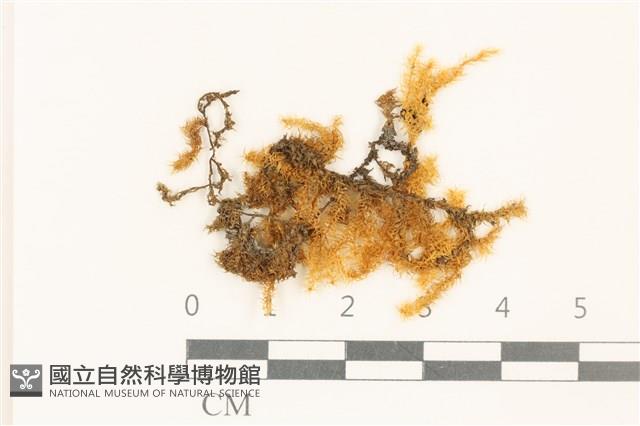 Accession Number:B00005782 Collection Image, Figure 1, Total 2 Figures