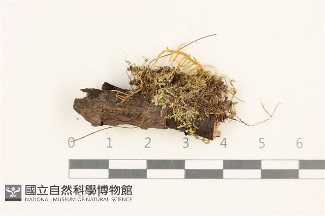 登錄號:B00017638藏品圖，第1張