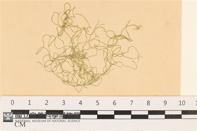 登錄號:A00003638藏品圖，第1張