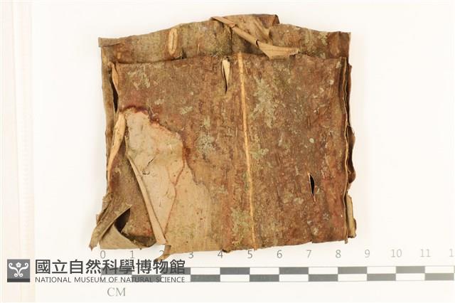 登錄號:B00019038藏品圖，第1張