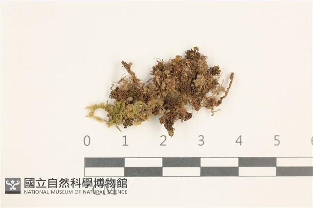 登錄號:B00014038藏品圖，第1張