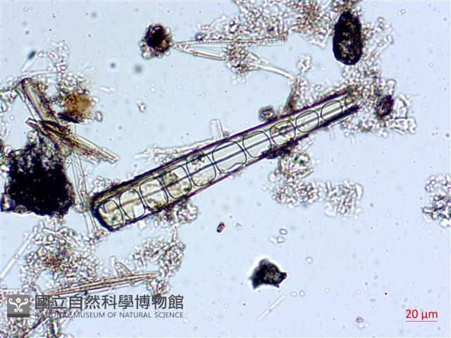 登錄號:A00004538藏品圖，第4張