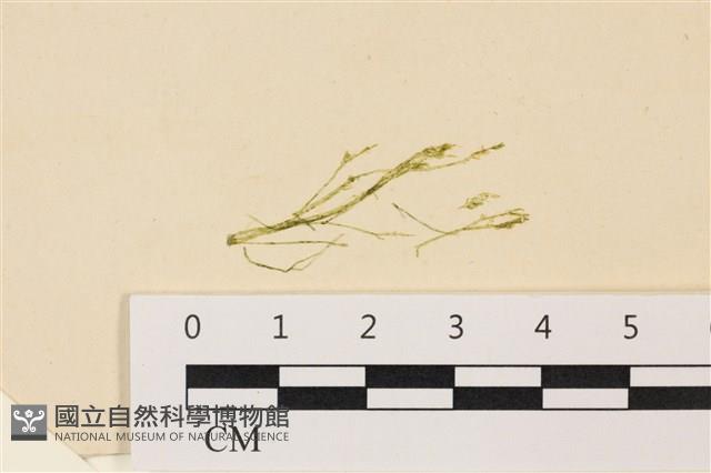 登錄號:A00006438藏品圖，第1張