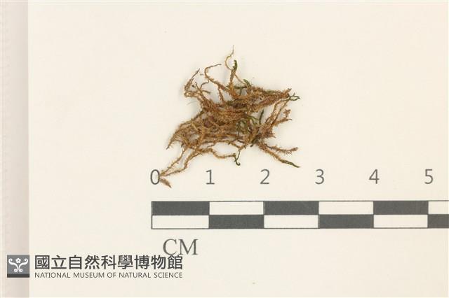 登錄號:B00014438藏品圖，第1張
