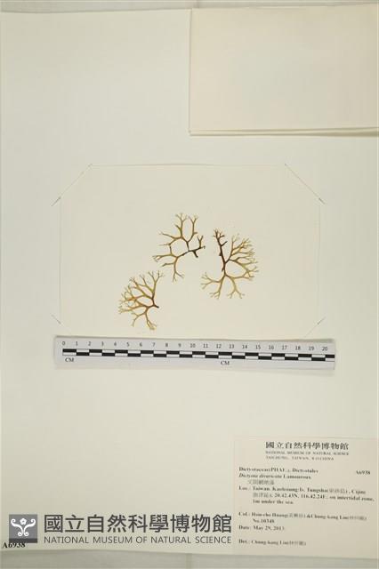 登錄號:A00006938藏品圖，第1張