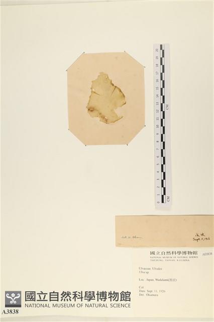 登錄號:A00003838藏品圖，第3張