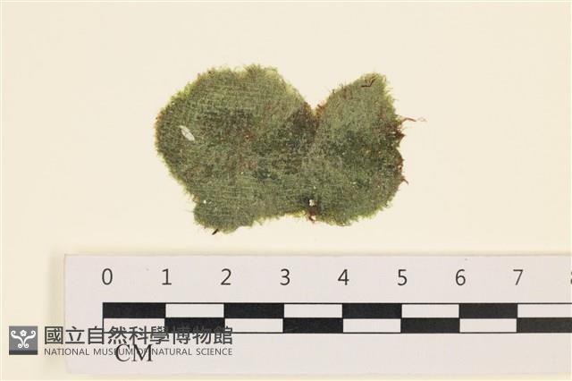 登錄號:A00005338藏品圖，第1張