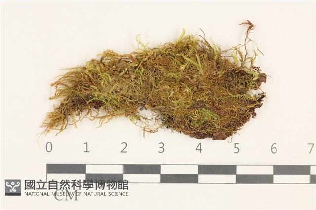 登錄號:B00020338藏品圖，第1張