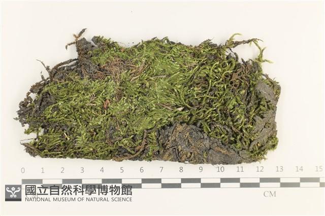 登錄號:B00011738藏品圖，第1張