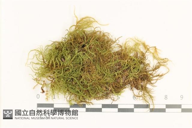 登錄號:B00001738藏品圖，第1張